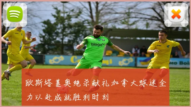 欧斯塔基奥绝杀献礼加拿大球迷全力以赴成就胜利时刻