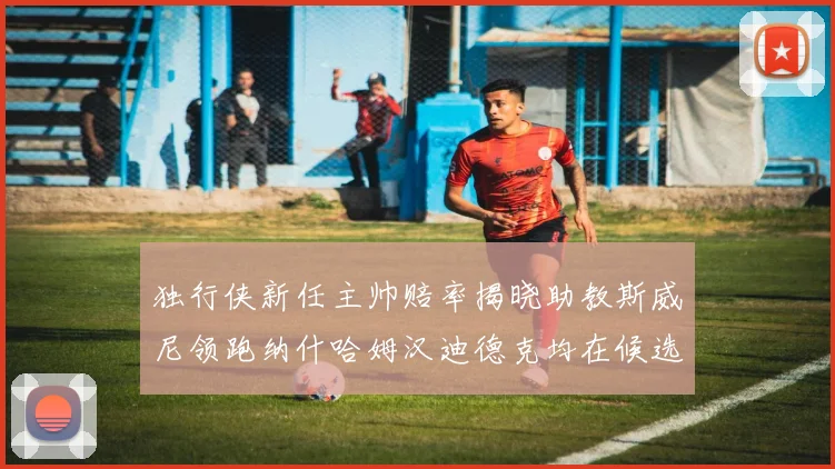 独行侠新任主帅赔率揭晓助教斯威尼领跑纳什哈姆汉迪德克均在候选之中